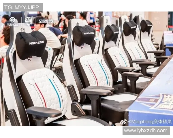 提升游戏体验王者荣耀装备选购中的电竞椅推荐与选择指南